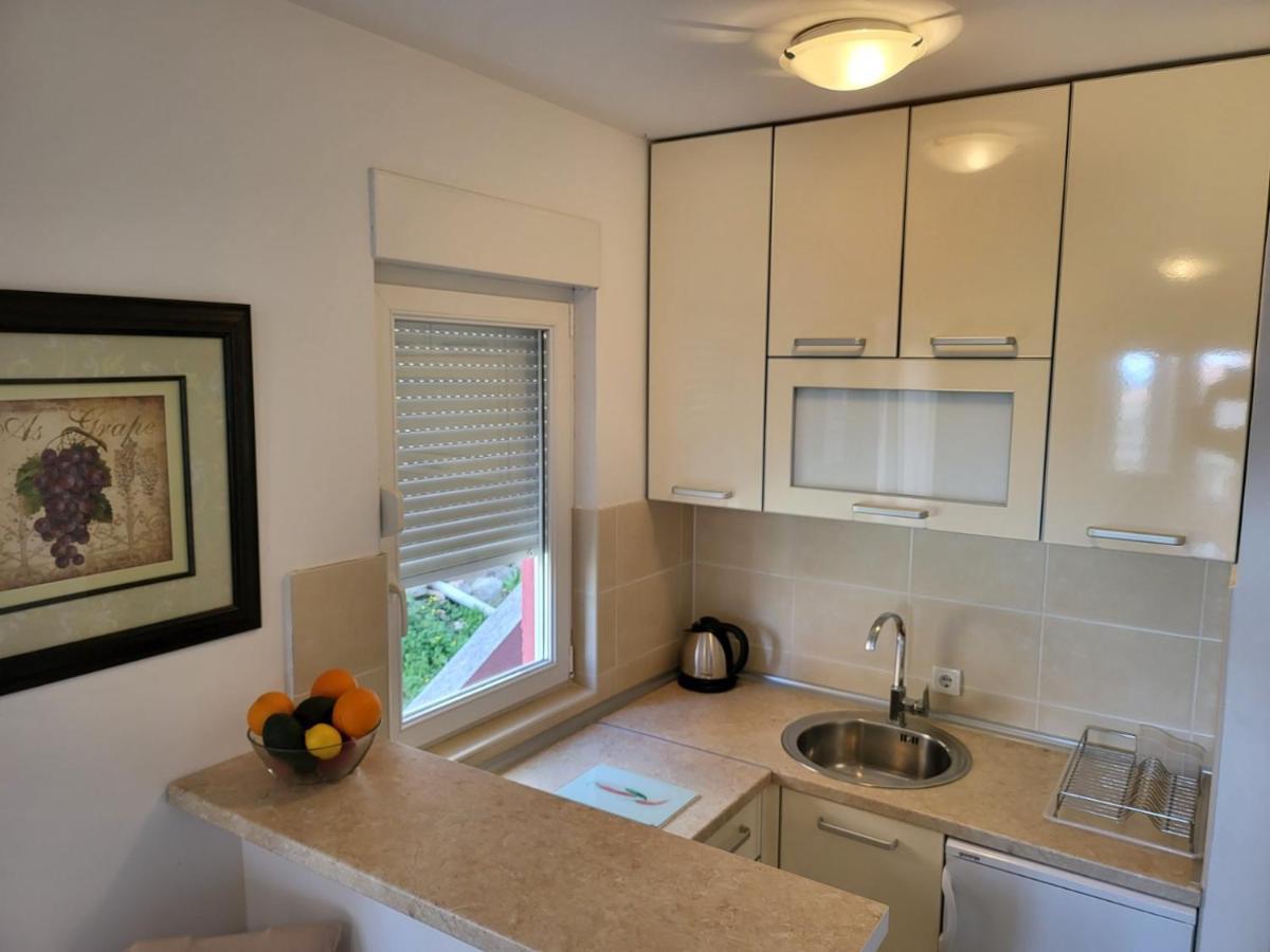 Apartment Rachel Petrovac Room photo